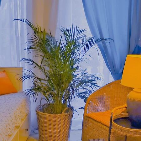 Apartament - Lisa Будва Екстериор снимка